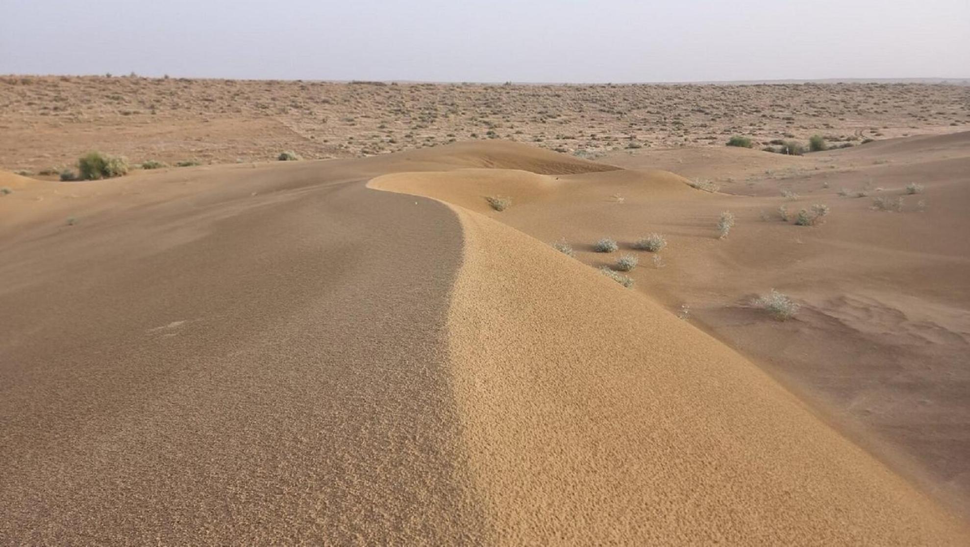 Hotel Surja Jaisalmer Buitenkant foto