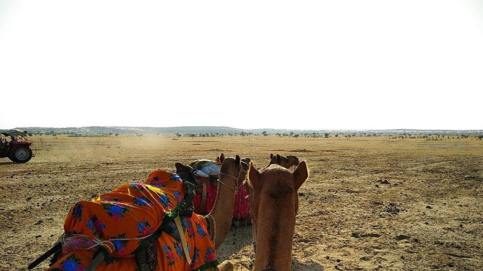 Hotel Surja Jaisalmer Buitenkant foto